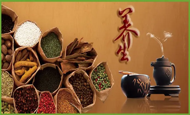 肉桂是桂树的哪个部分